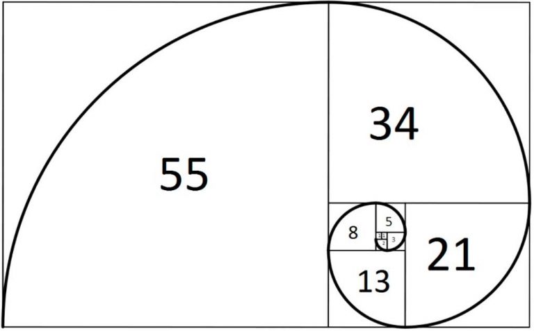 Sucesión De Fibonacci Espiral
