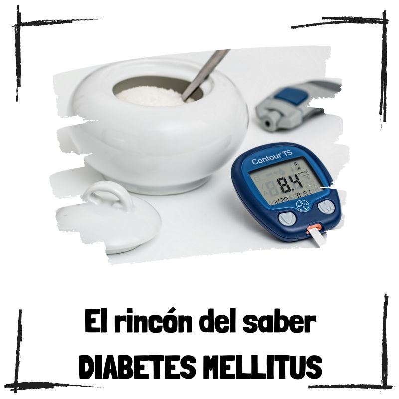 Lee más sobre el artículo ¿Qué enfermedades se asocian con la diabetes mellitus?