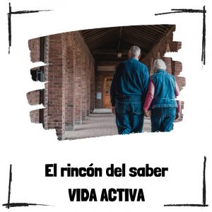 Vida activa - El rincón del saber