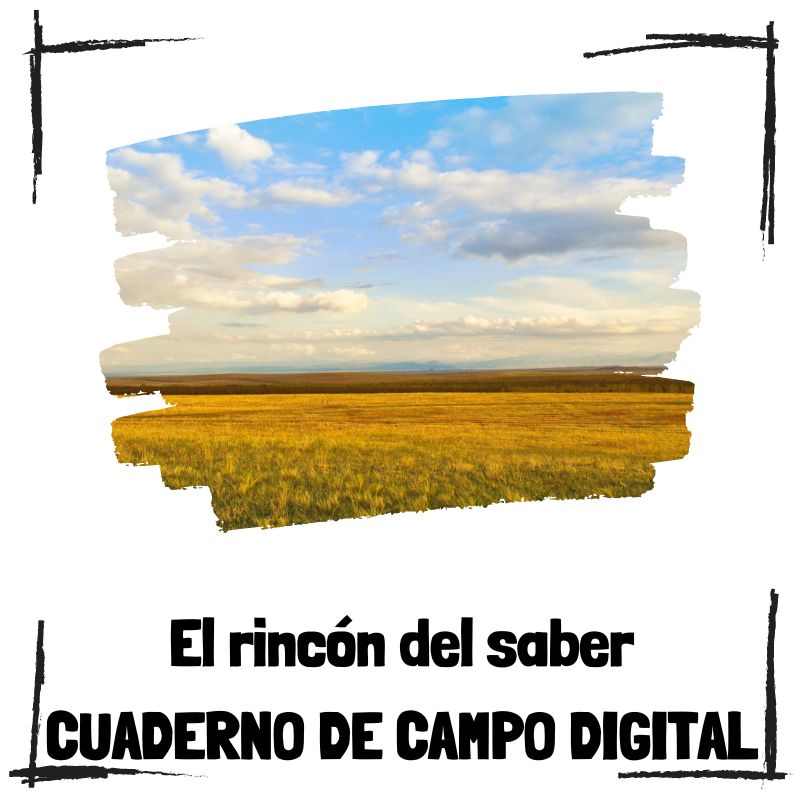 Lee más sobre el artículo ¿Qué es un cuaderno de campo digital?