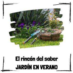 Jardín en verano - El rincón del saber
