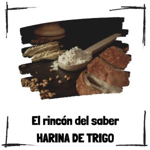 ¿Qué es la harina de trigo? Harina de trigo - El rincón del saber