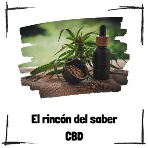 CBD - El rincón del saber