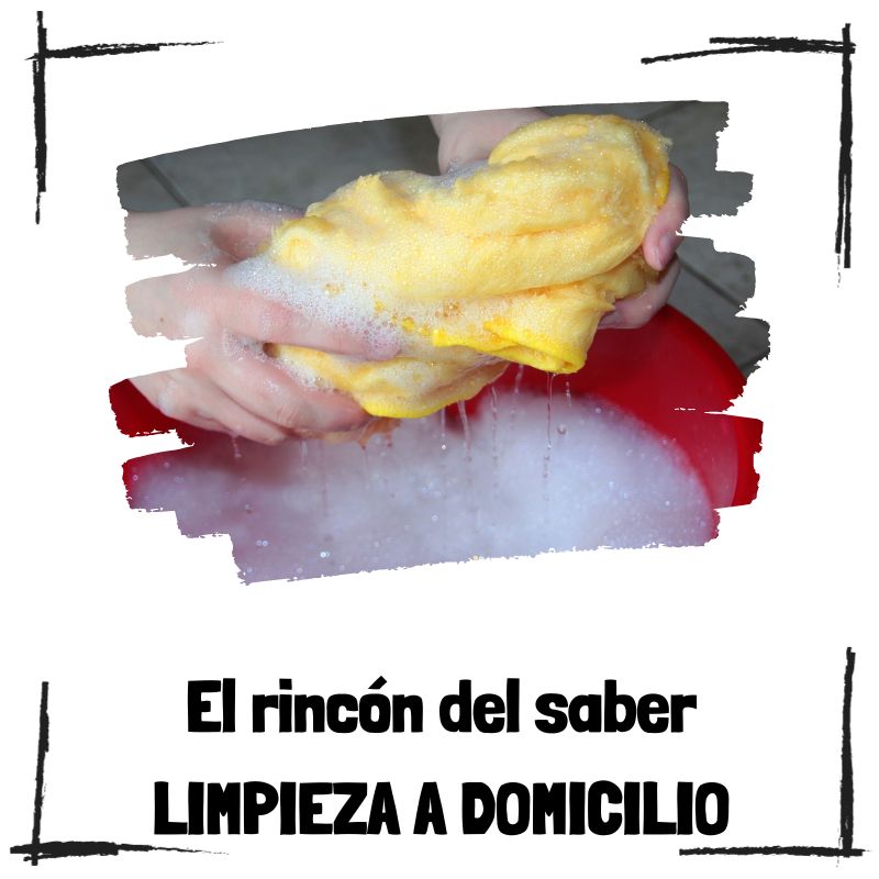 Lee más sobre el artículo Limpieza profesional en casa: Explorando las ventajas de las empresas de limpieza a domicilio