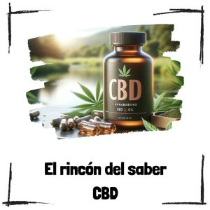 Guía completa sobre el Cannabidiol (CBD) Cbd En El Rincón Del Saber