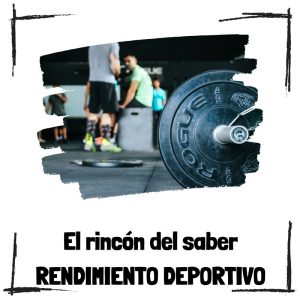 Maximizar rendimiento con Vitruve - El encoder lineal para el entrenamiento de fuerza Maximizar rendimiento con Vitruve - El encoder lineal para el entrenamiento de fuerza - El rincón del saber