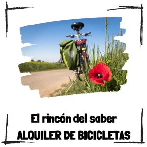 Los beneficios de alquilar bicicletas para recorrer una ciudad Alquiler de bicicletas - El rincón del saber