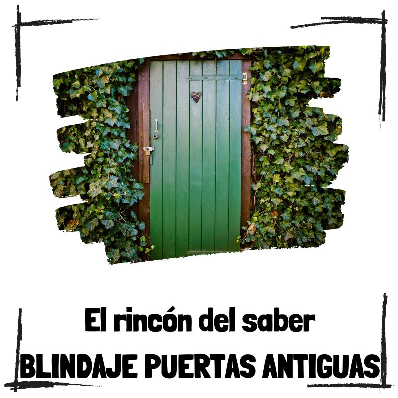 Lee más sobre el artículo La necesidad de reforzar puertas antiguas