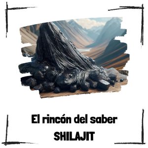 ¿Qué es el shilajit? Shilajit - El rincón del saber