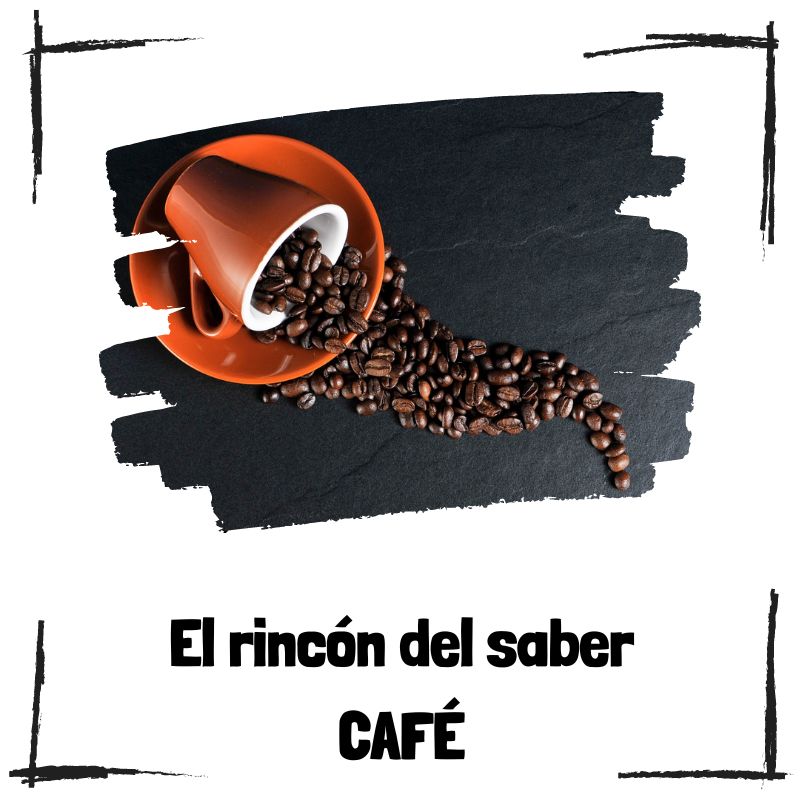 Lee más sobre el artículo 10 curiosidades sobre el café