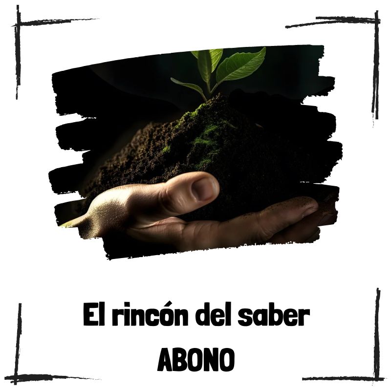 Lee más sobre el artículo La importancia del abono orgánico y ecológico para un futuro sostenible