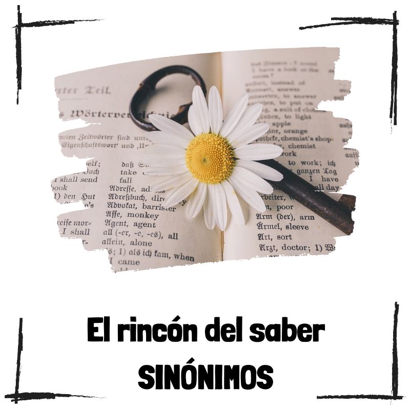 Lee más sobre el artículo ¿Cómo usar sinónimos para hacer tu escritura más interesante y diversa?