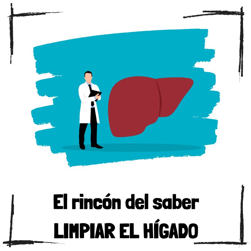 Lee más sobre el artículo ¿Cómo limpiar el hígado de forma natural?
