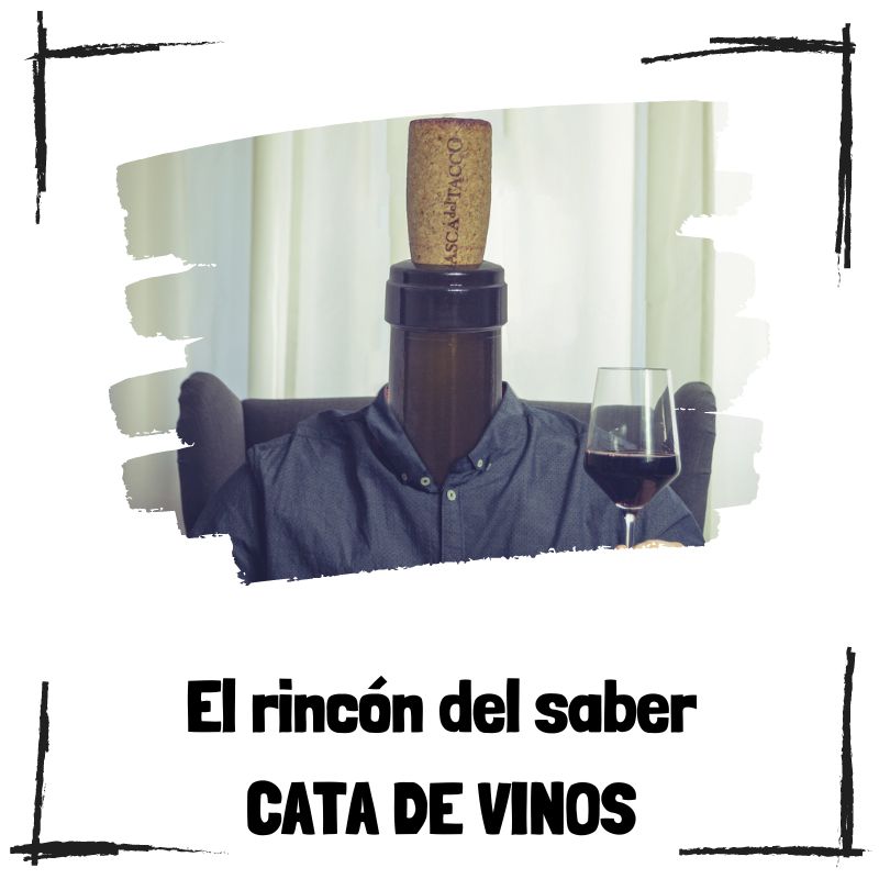 Lee más sobre el artículo Organizar tu propia cata de vinos en casa: Consejos para una experiencia única