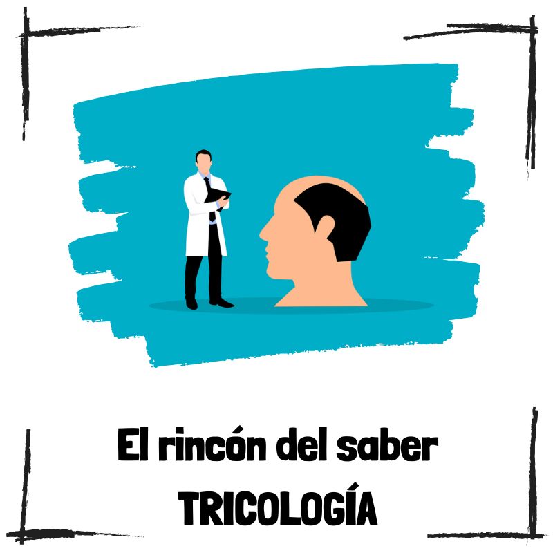 Lee más sobre el artículo ¿Qué es la tricología?
