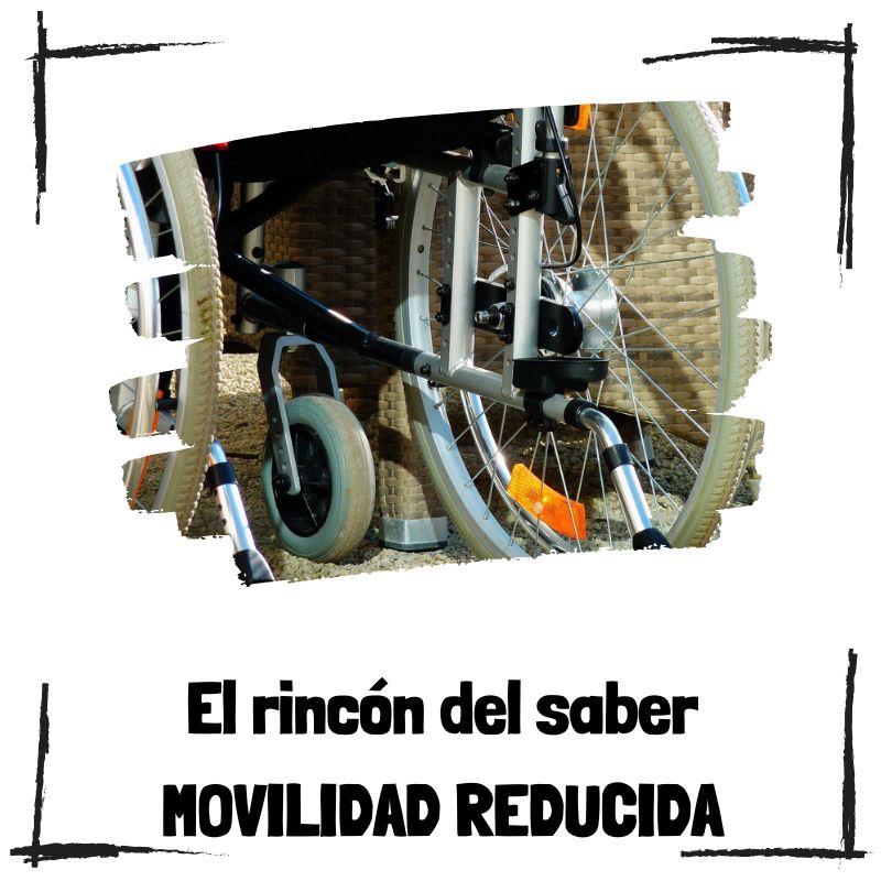 Lee más sobre el artículo 3 productos adaptados que están redefiniendo la movilidad personal