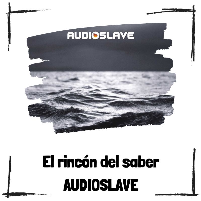 Lee más sobre el artículo 10 curiosidades de Audioslave