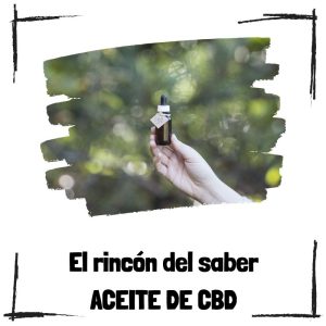 5 Beneficios Sorprendentes Del Aceite De Cbd Para La Salud