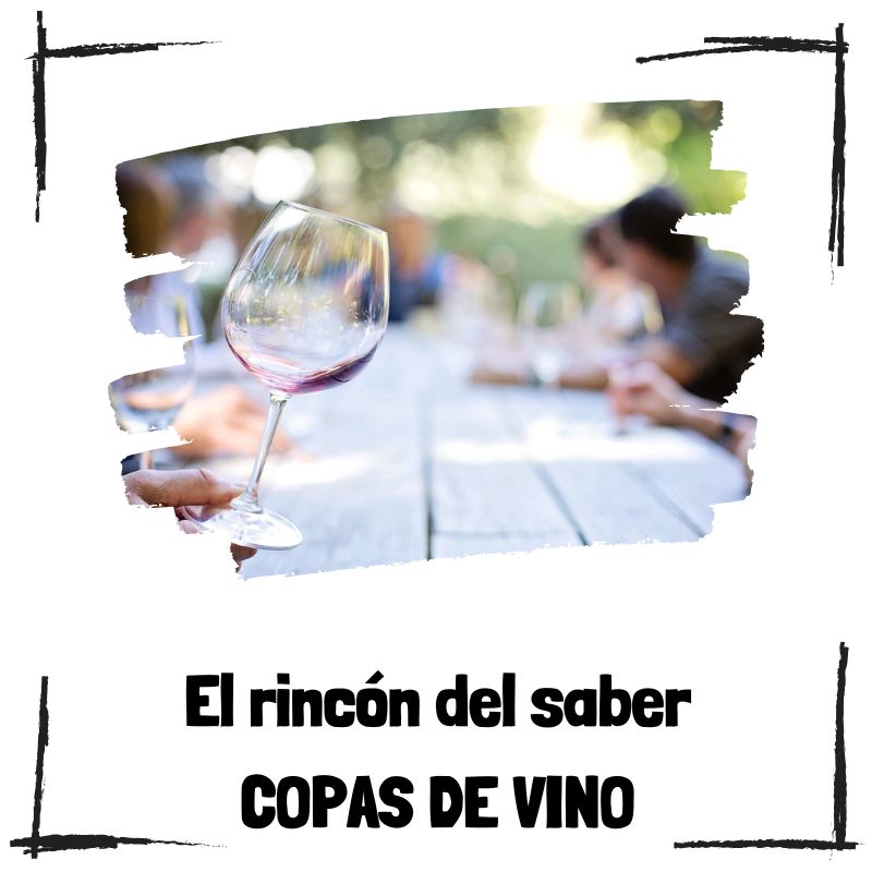 Lee más sobre el artículo La copa perfecta para cada vino – Una guía esencial para los amantes del vino