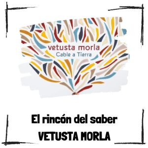 8 curiosidades de Vetusta Morla 10 Curiosidades De Vetusta Morla