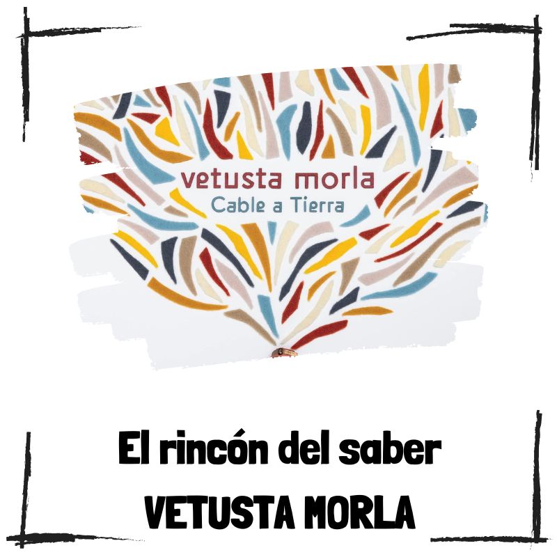 Lee más sobre el artículo 8 curiosidades de Vetusta Morla