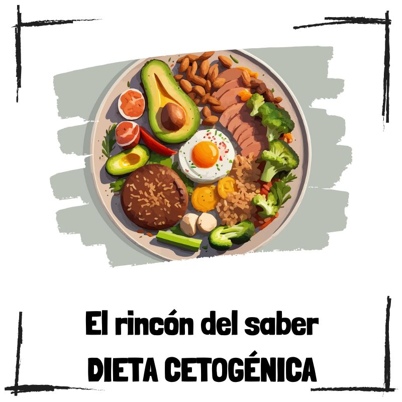 Lee más sobre el artículo ¿Qué es la dieta cetogénica y cómo funciona para perder peso?
