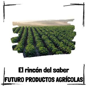 El Futuro Del Campo Innovación Y Tecnología En Los Productos Agrícolas