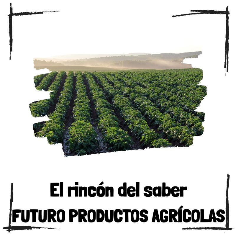 Lee más sobre el artículo El futuro del campo: Innovación y tecnología en los productos agrícolas
