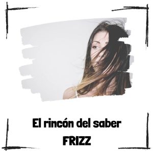 ¿Qué es el frizz y por qué aparece en el pelo? Qué Es El Frizz Y Por Qué Aparece En El Pelo