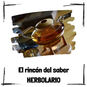 Cómo Elegir Un Buen Herbolario