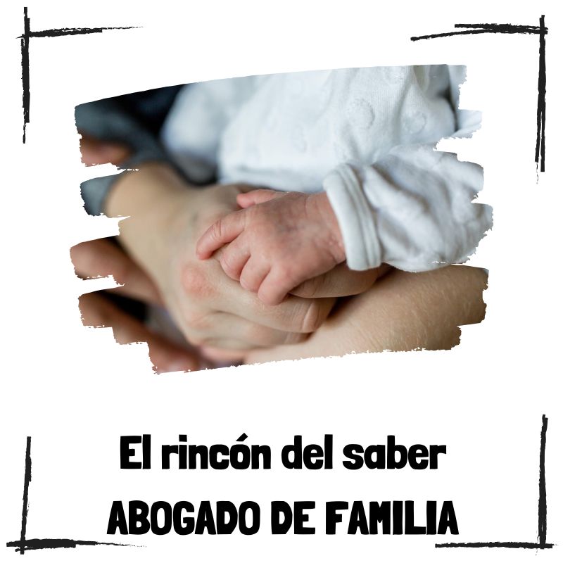 Lee más sobre el artículo ¿Qué hace un abogado de familia?