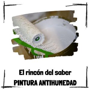 Cómo Encontrar La Mejor Pintura Antihumedad Para Sótanos Y Bodegas