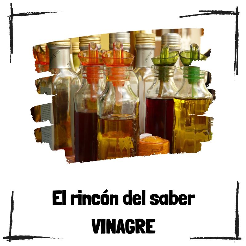 Lee más sobre el artículo Acetaria, el arte y la ciencia detrás de la elaboración del vinagre